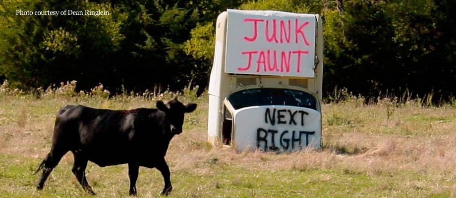 slider_JJ-SIGN-COW-CAR-4-920x400.jpg